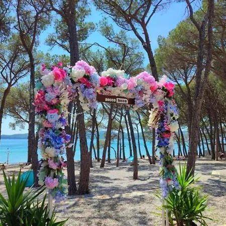 Apartmanovy Domcek Lija Biograd na Moru